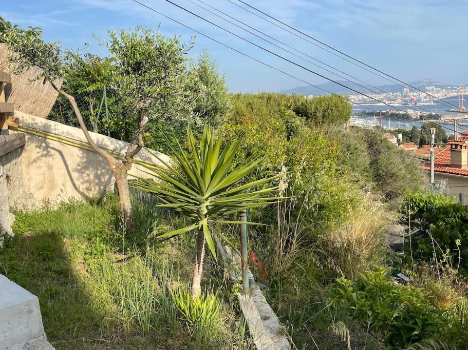 Superbe Terrasse Avec Vue Panoramique Sur La Marseille