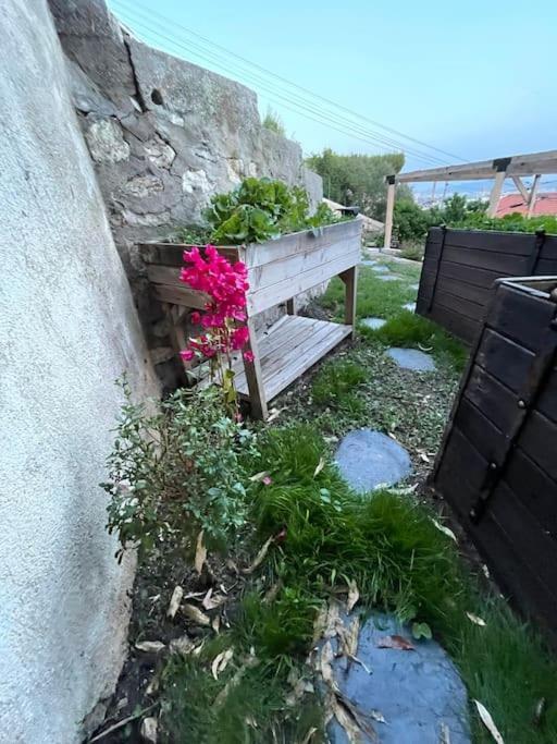 Superbe Terrasse Avec Vue Panoramique Sur La * Marseille