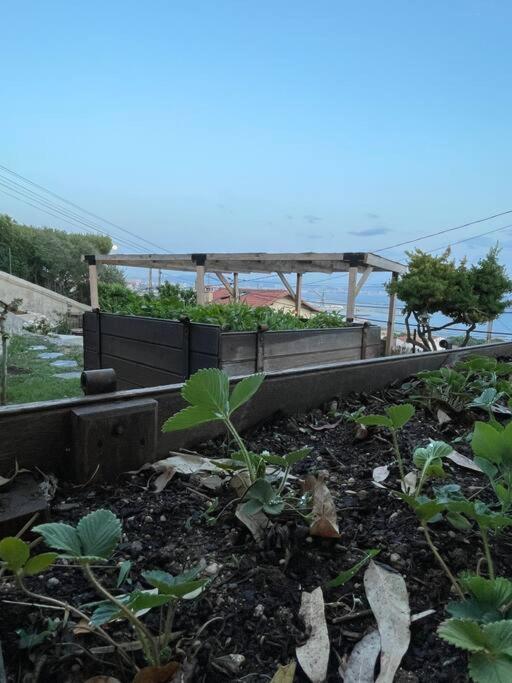 Superbe Terrasse Avec Vue Panoramique Sur La *